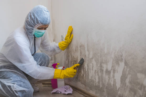 Best Asbestos and Lead Testing During Mold Inspection  in Mulgee, OK